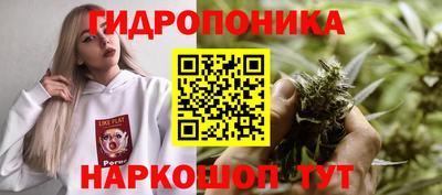шишки Старая Купавна