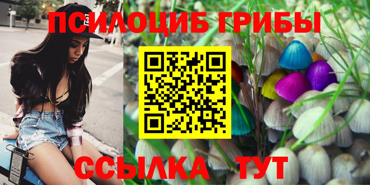 Нефтекумск  Галлюциногенные грибы Magic Shrooms  Вход с VPN 