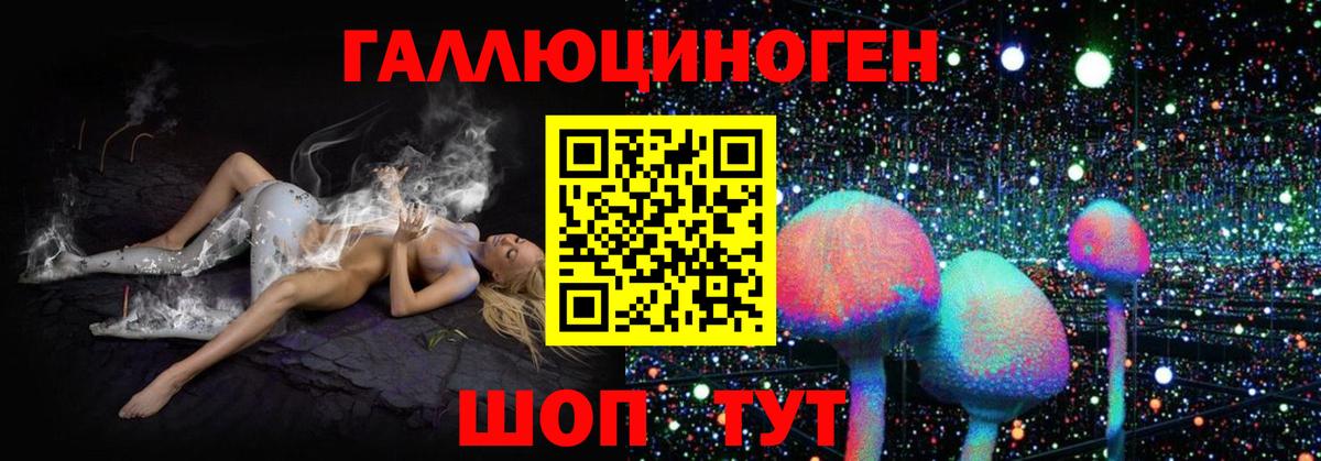 Псилоцибиновые грибы GOLDEN TEACHER Нефтекумск
